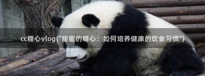 糖心vlog女主播名字