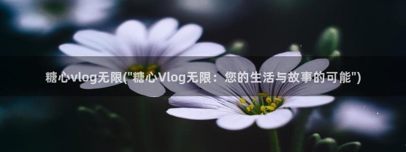 糖心vlog传媒作品集：糖心vlog无限(\
