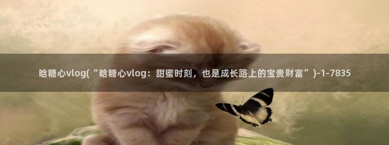 糖心vlog橘猫视频