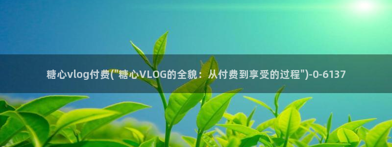 糖心vlog宫网：糖心vlog付费(\