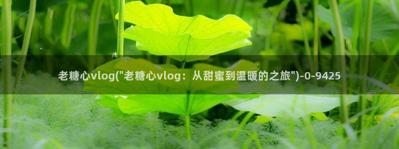 糖心vlog怎么刷