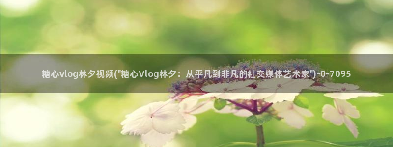 糖心vlog最污