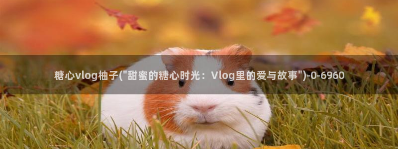 糖心vlog下载视频
