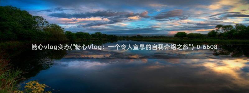 糖心vlog金善雅视频