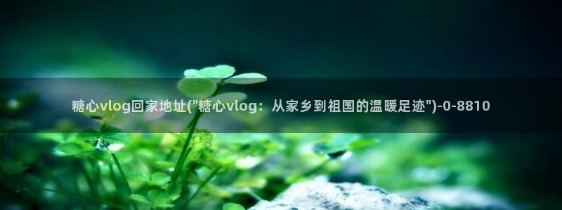 vlog 糖心下载