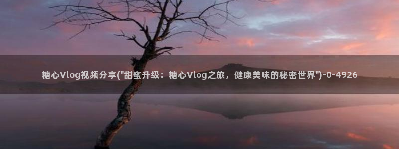 糖心vlog最好看