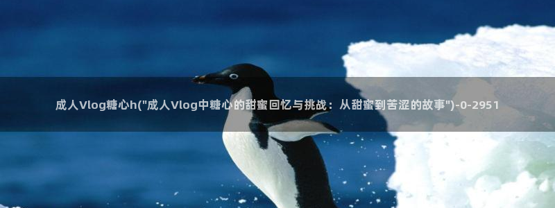 糖心Vlog优质up主