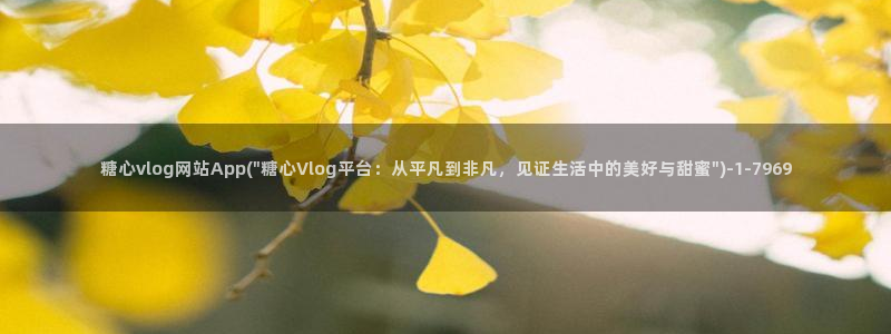 糖心vlog更换账号
