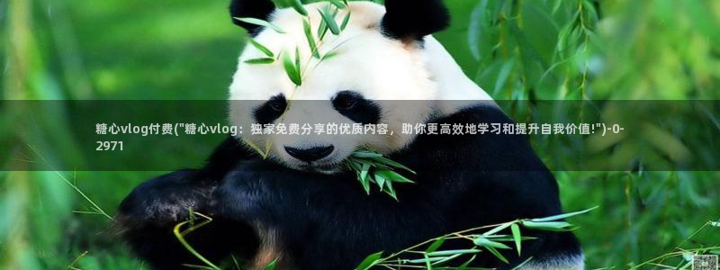 糖心vlog进不去：糖心vlog付费(\