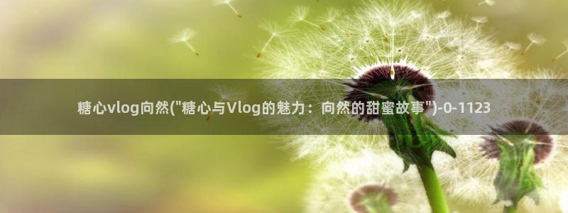 糖心vlog.com