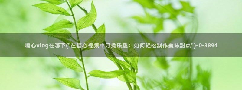 糖心vlog官