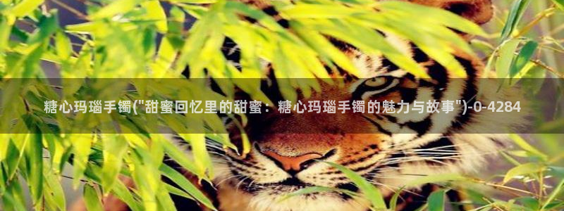 糖心vlog许木学长