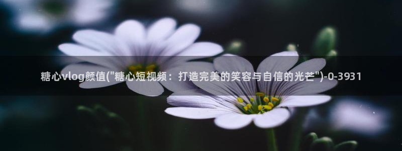 糖心vlog软件