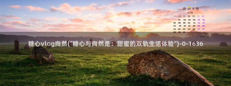 糖心vlog一区二区