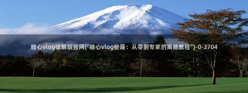 糖心vlog正版
