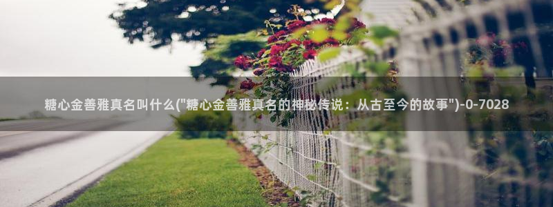 糖心传媒vlog