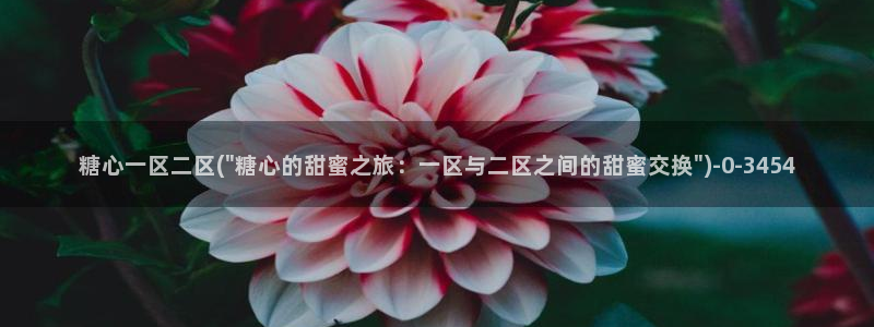 心糖vlog 破解版