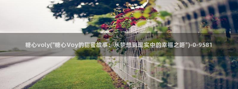 糖心日常vlog