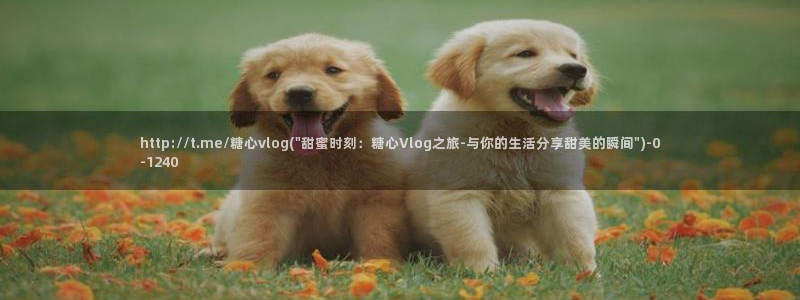 糖心vlog许木学长