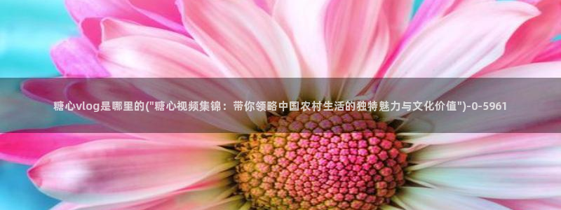 糖心vlog白桃少女