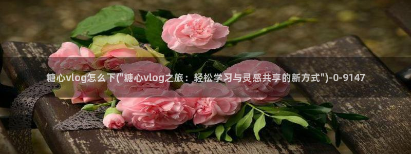 糖心vlog视频在线观看
