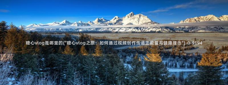 糖心vlog免费官网入口