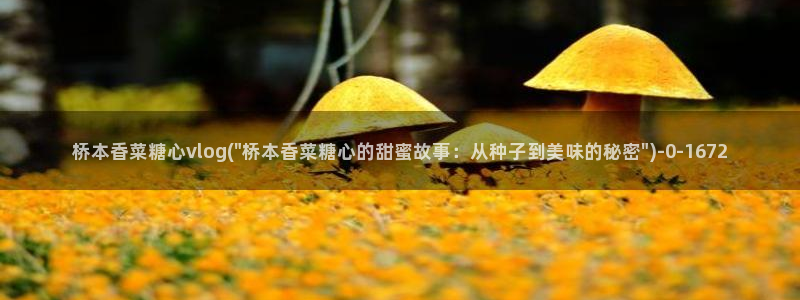 糖心vlog .com