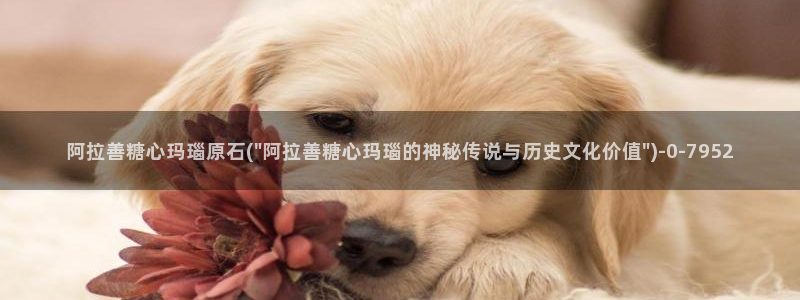 下载糖心vlog
