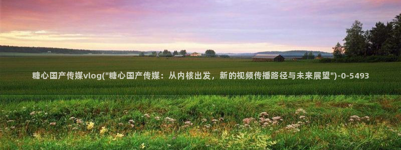 糖心vlog.