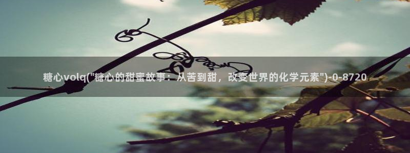 糖心vlog所有女演员