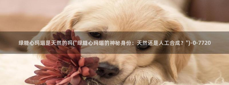 糖心vlog怎么安装